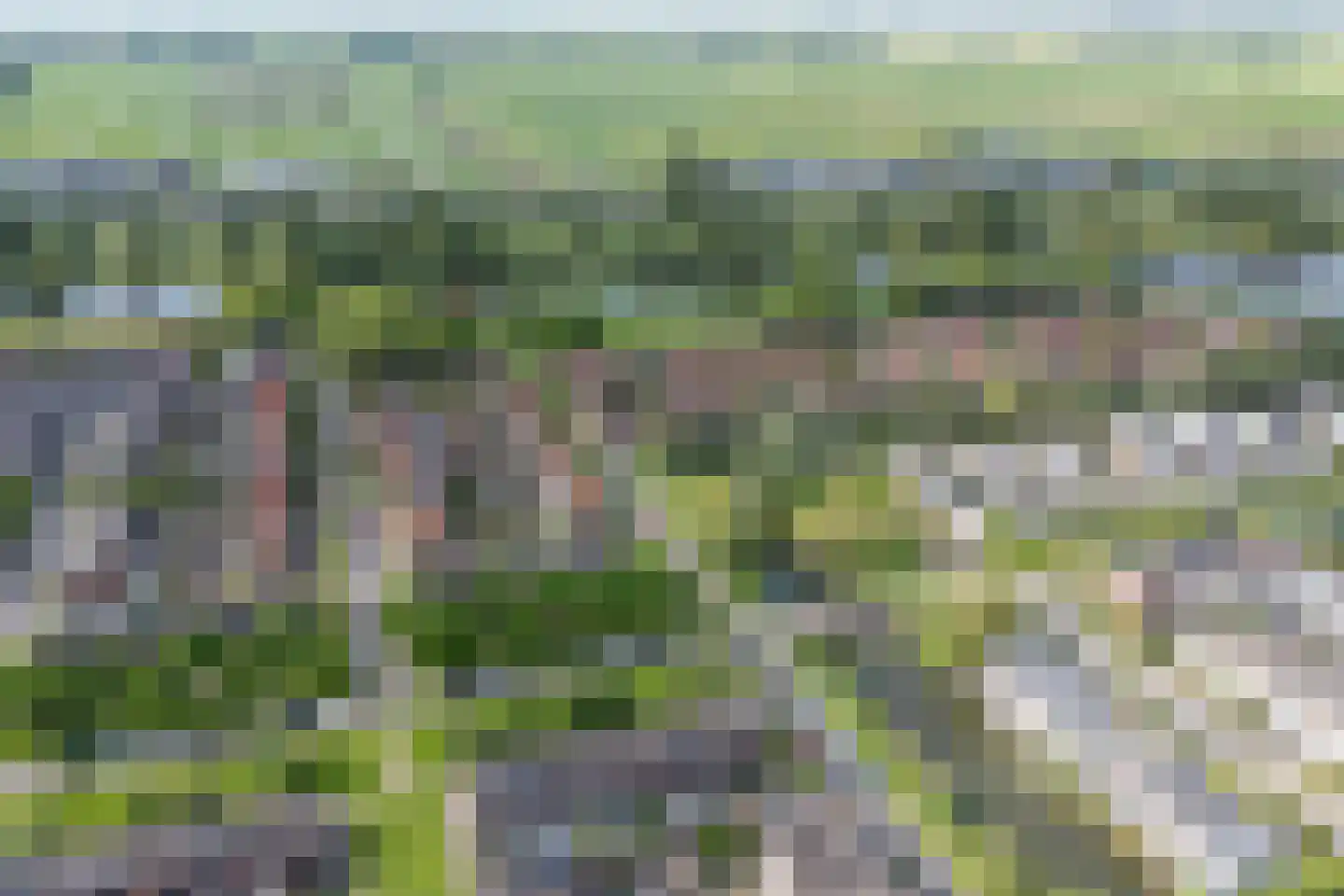 Zeedistel 12 De Meern thumbnail 66
