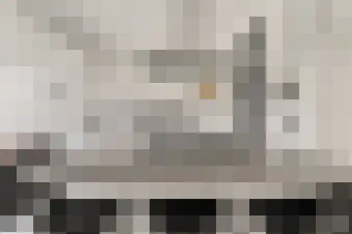 Zeedistel 26 Rotterdam thumbnail 13