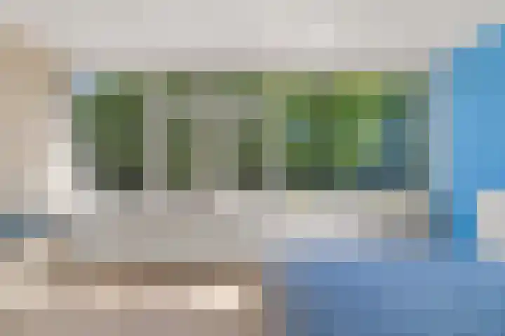 Zeedistel 26 Rotterdam thumbnail 17