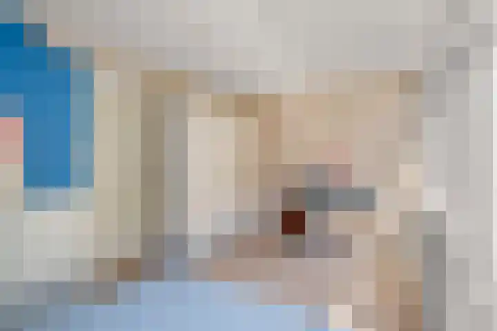 Zeedistel 26 Rotterdam thumbnail 18