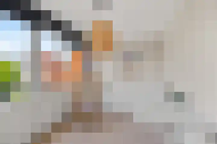 Zeedistel 26 Rotterdam thumbnail 20