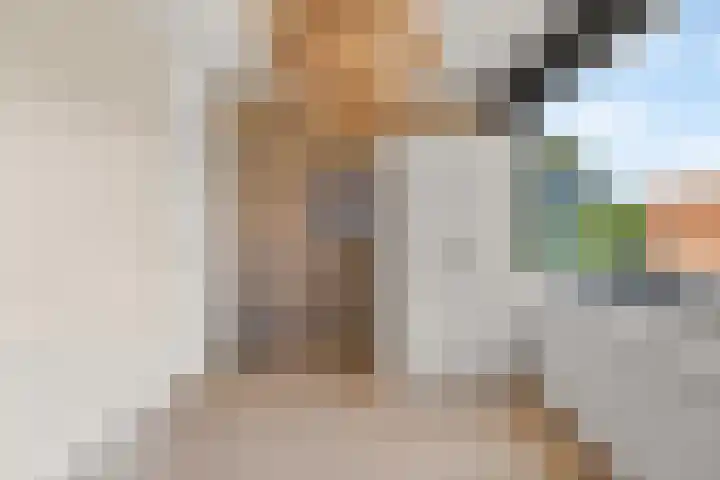 Zeedistel 26 Rotterdam thumbnail 21