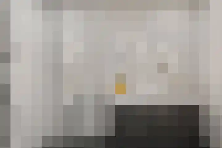 Zeedistel 26 Rotterdam thumbnail 22