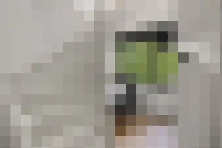Zeedistel 26 Rotterdam thumbnail 25