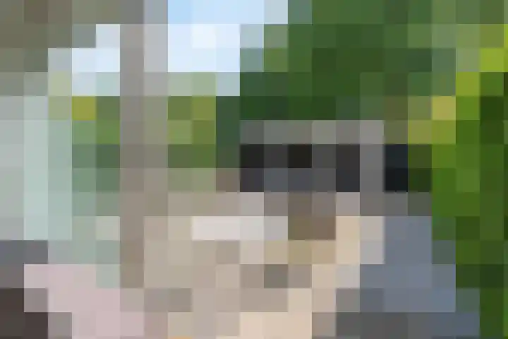 Zeedistel 26 Rotterdam thumbnail 34