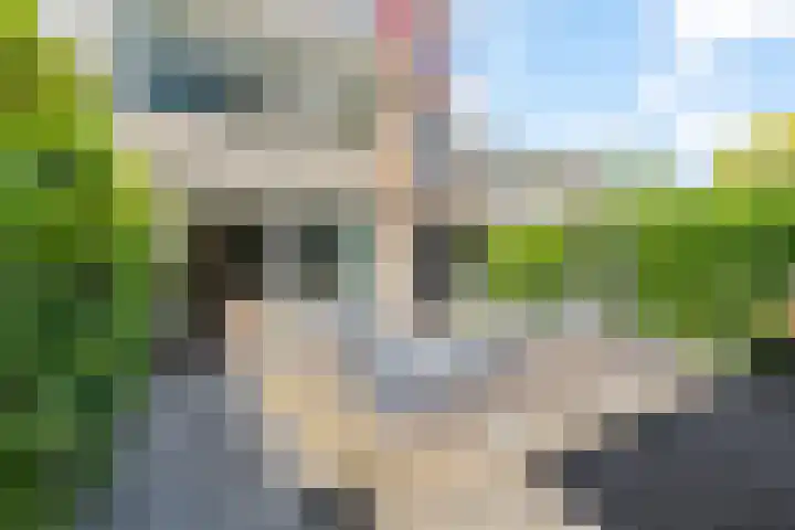Zeedistel 26 Rotterdam thumbnail 35