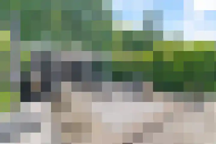 Zeedistel 26 Rotterdam thumbnail 4