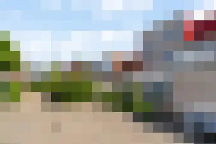 Zeedistel 26 Rotterdam thumbnail 5
