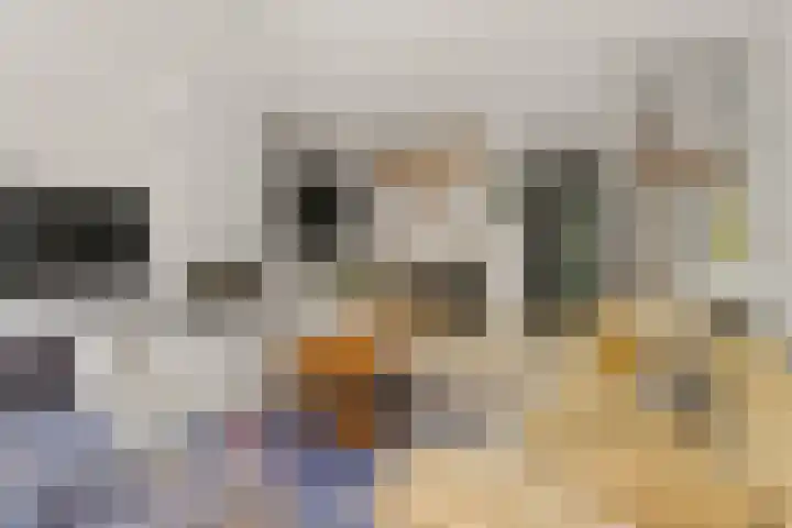 Zeedistel 26 Rotterdam thumbnail 8