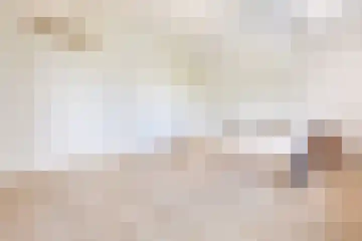 Zeedistel 33 De Meern thumbnail 13