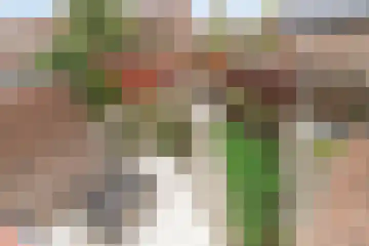 Zeedistel 37 De Meern thumbnail 27