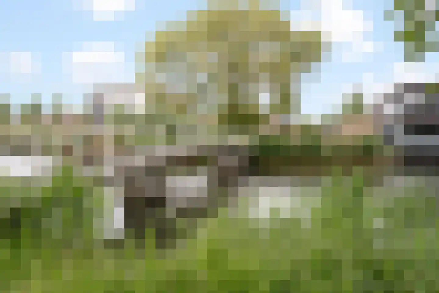 Zeedistel 57 De Meern thumbnail 29