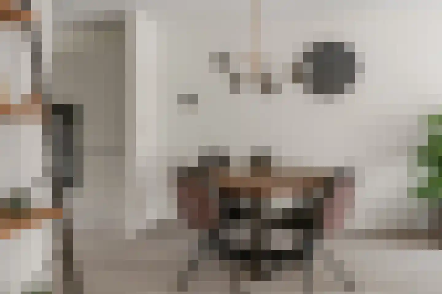 Zeedistel 57 De Meern thumbnail 7