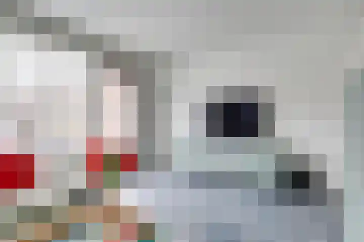 Zeedistel 68 De Meern thumbnail 11