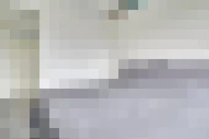 Zeedistel 68 De Meern thumbnail 25