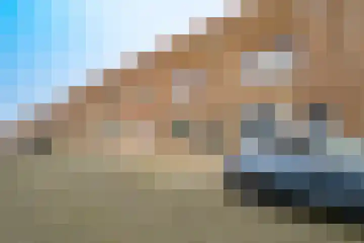Zeedistel 68 De Meern thumbnail 29