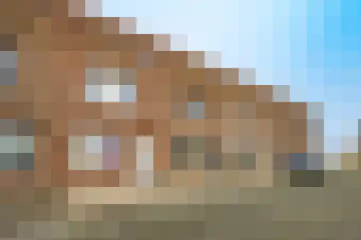 Zeedistel 68 De Meern thumbnail 5