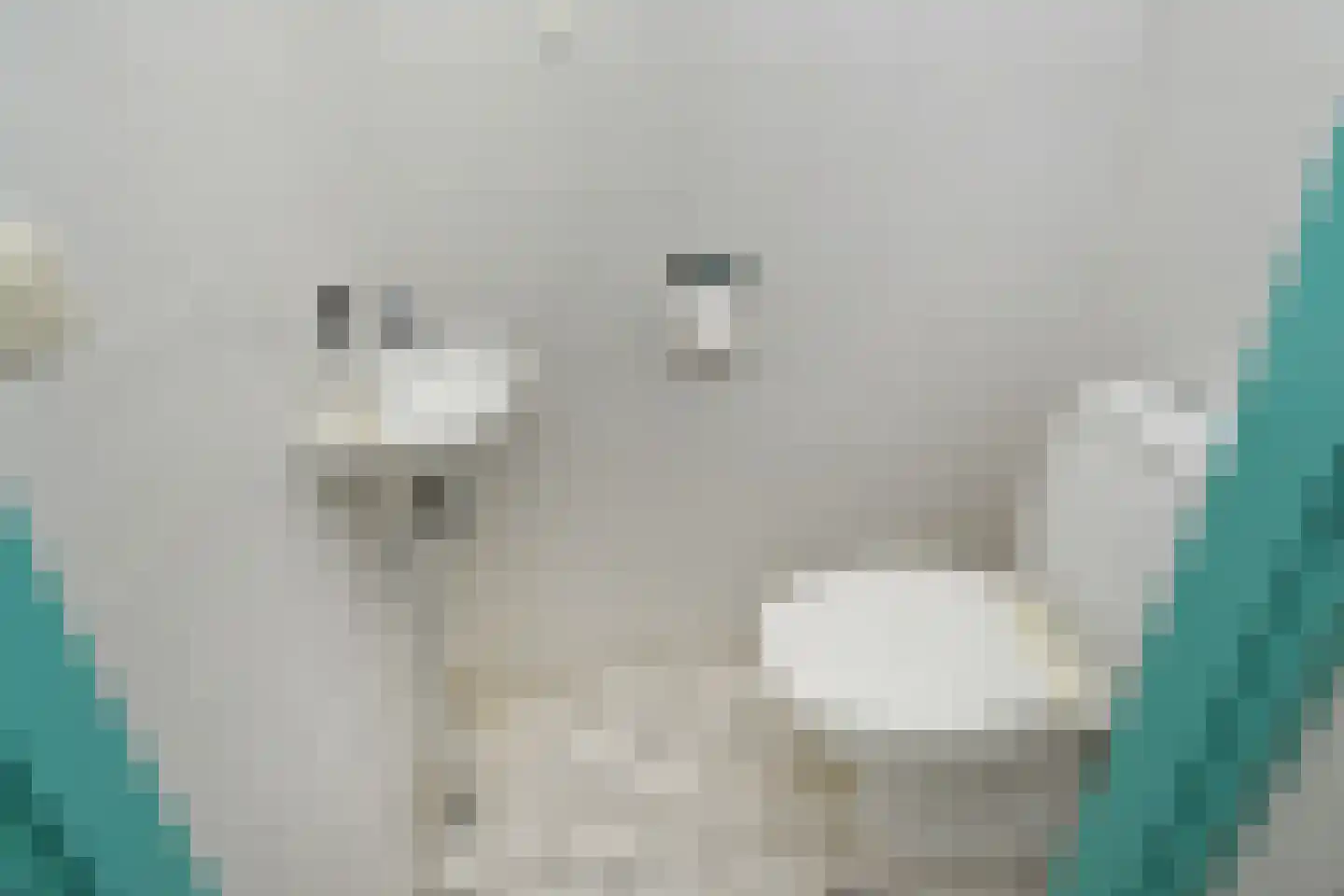 Zeedistel 8 Nootdorp thumbnail 15
