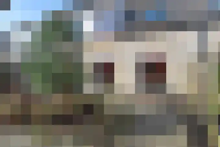 Zeedistel 8 Nootdorp thumbnail 39