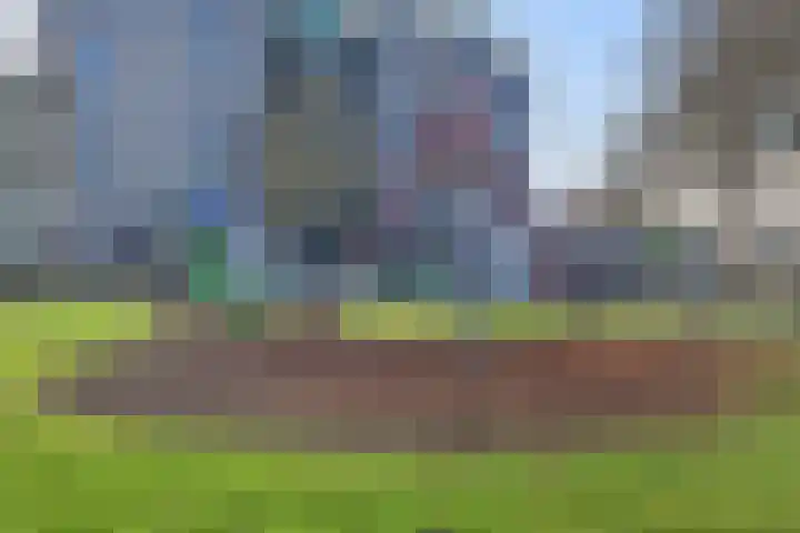 Zeedistel 8 Nootdorp thumbnail 44