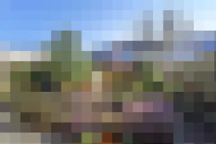 Zeedistel 8 Nootdorp thumbnail 5