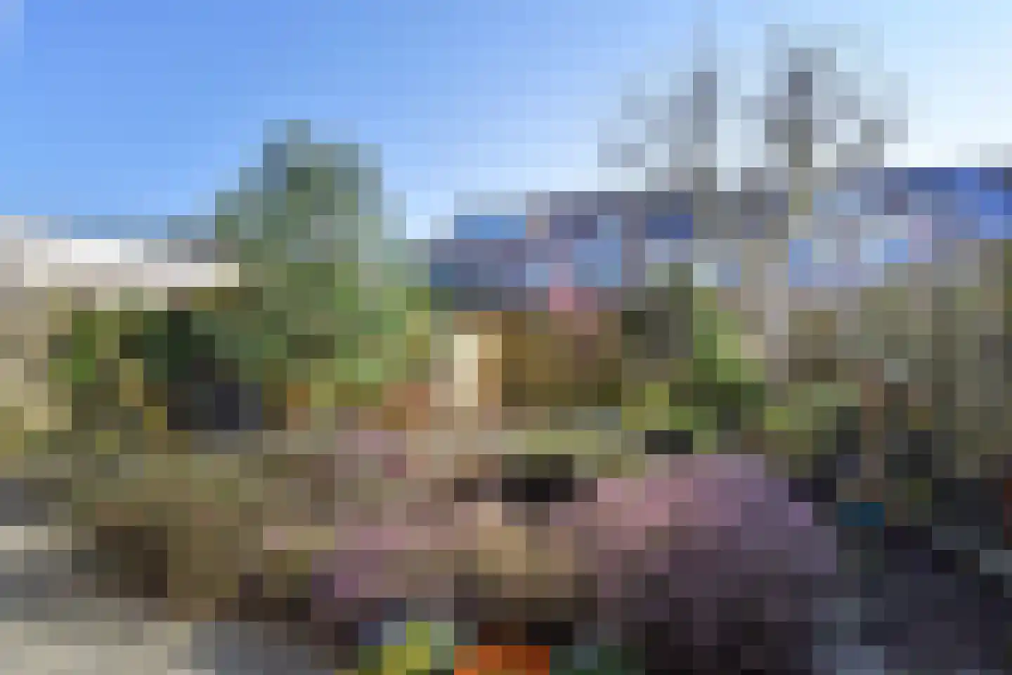 Zeedistel 8 Nootdorp thumbnail 5