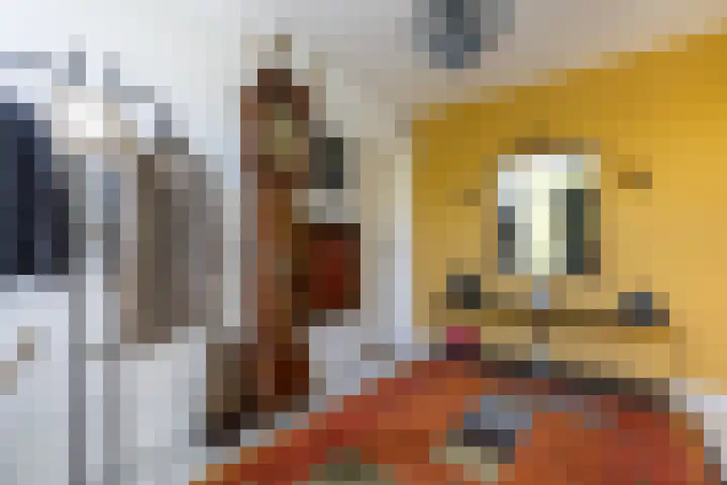 Zeedistellaan 9 Oostvoorne thumbnail 11