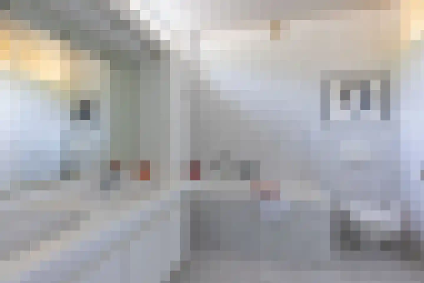 Zeedistellaan 9 Oostvoorne thumbnail 28