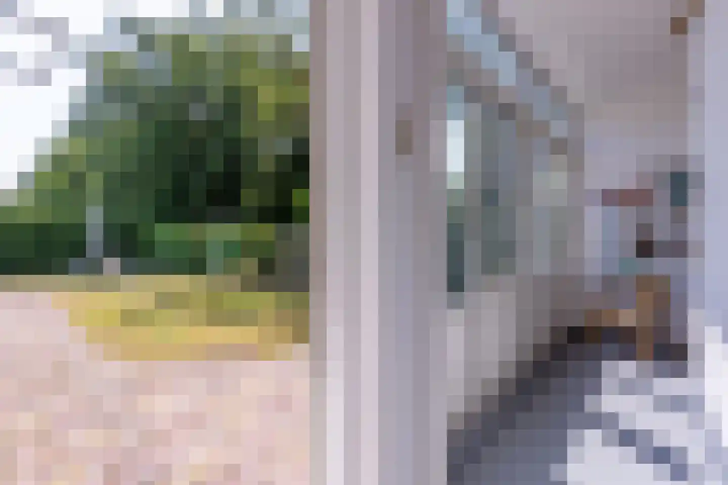 Zeedistellaan 9 Oostvoorne thumbnail 30