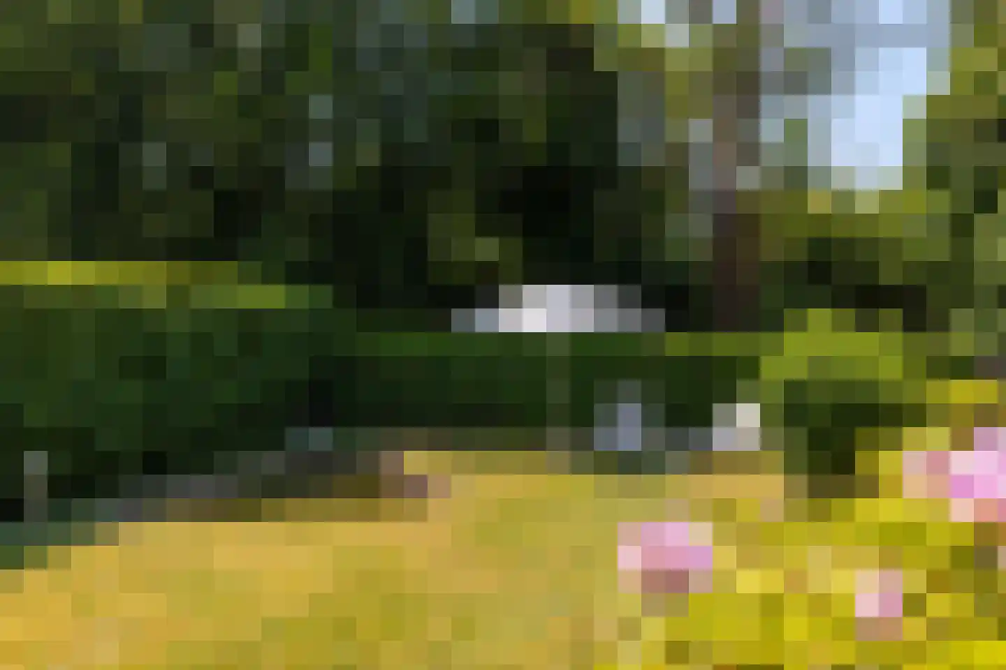 Zeedistellaan 9 Oostvoorne thumbnail 34