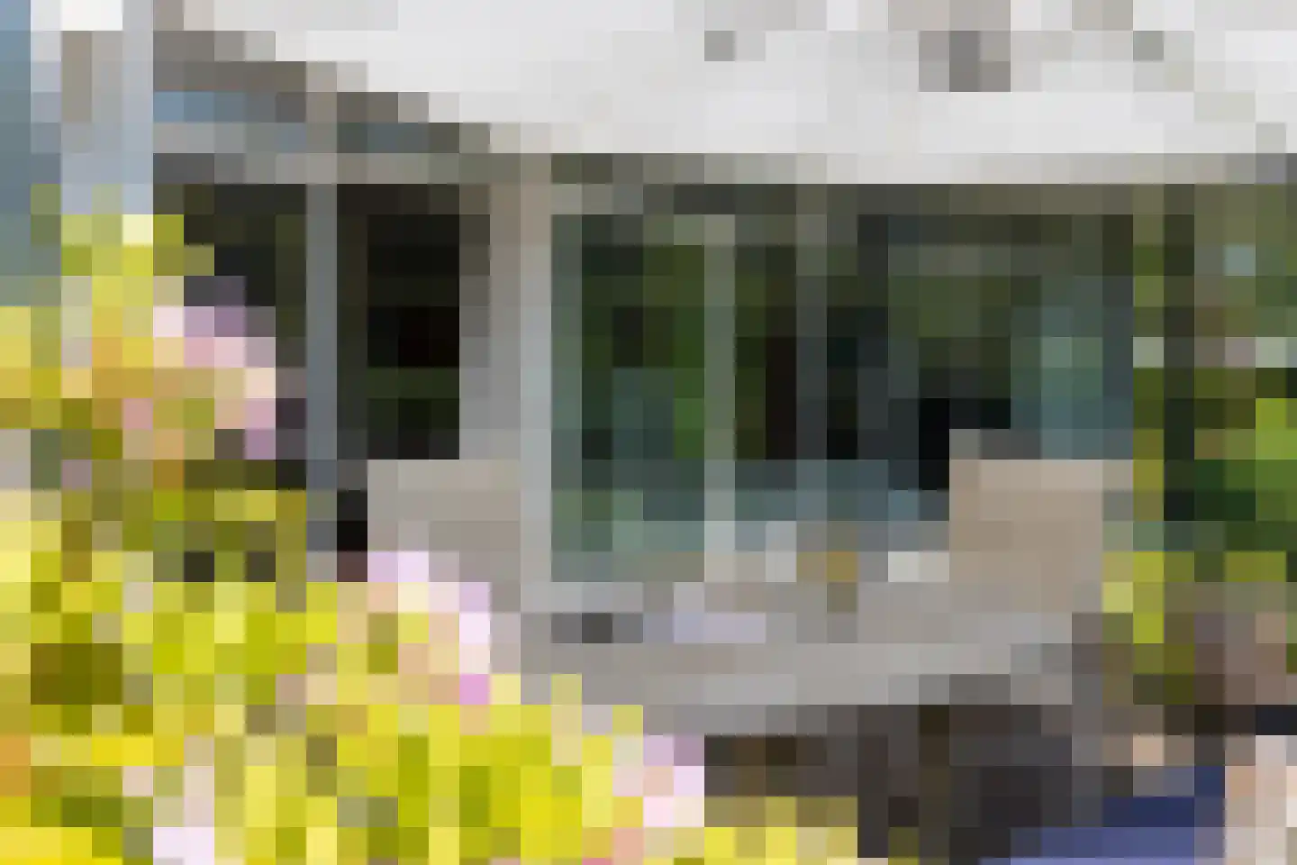 Zeedistellaan 9 Oostvoorne thumbnail 38