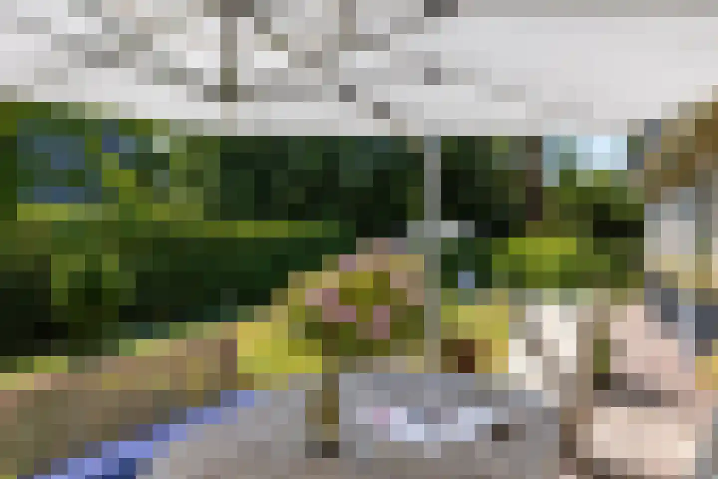 Zeedistellaan 9 Oostvoorne thumbnail 40