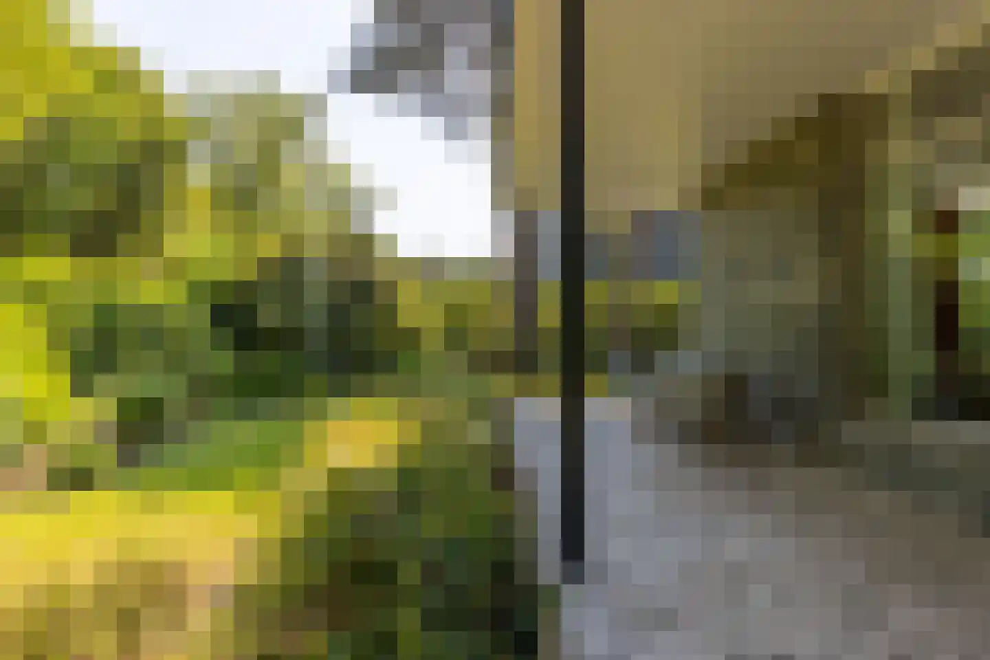 Zeedistellaan 9 Oostvoorne thumbnail 45