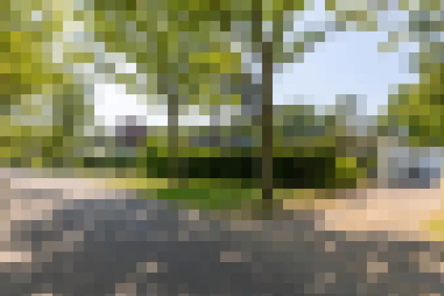 Zeedistellaan 9 Oostvoorne thumbnail 5