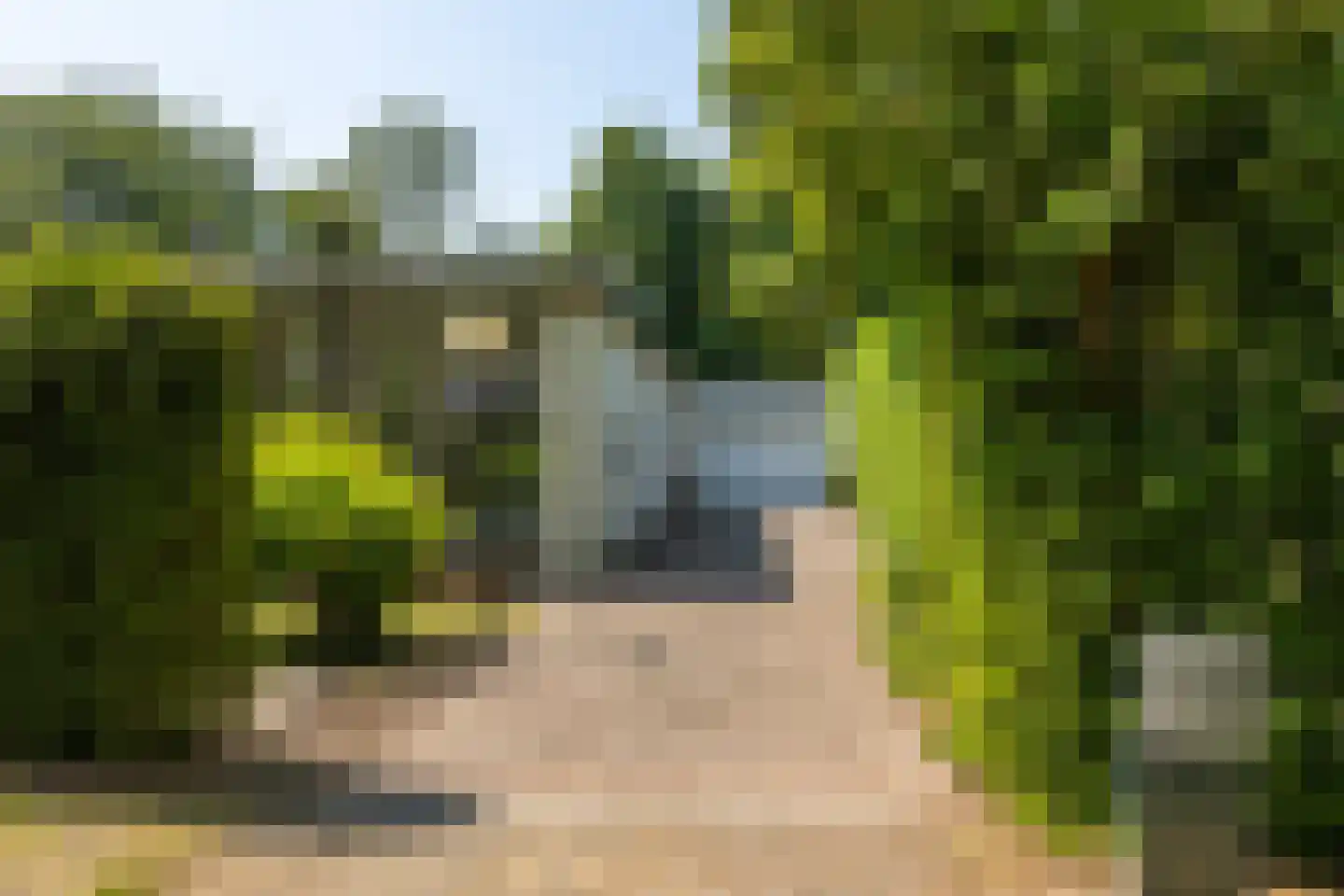 Zeedistellaan 9 Oostvoorne thumbnail 6
