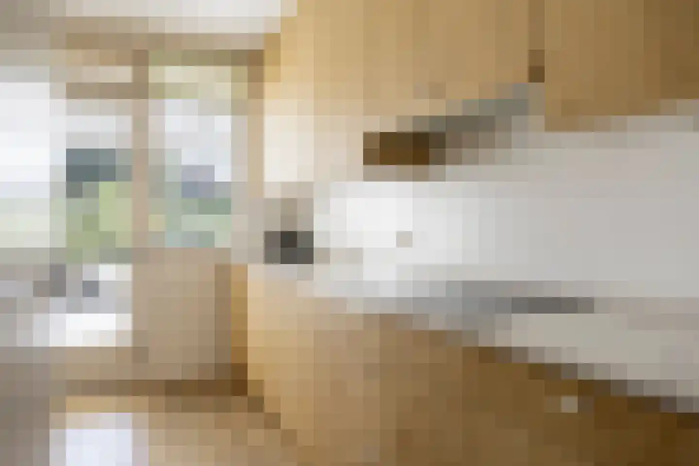 Zeedistelweg 22 Renesse thumbnail 10
