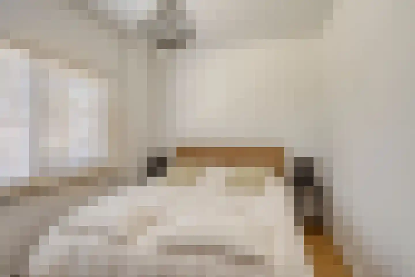 Zeedistelweg 22 Renesse thumbnail 13