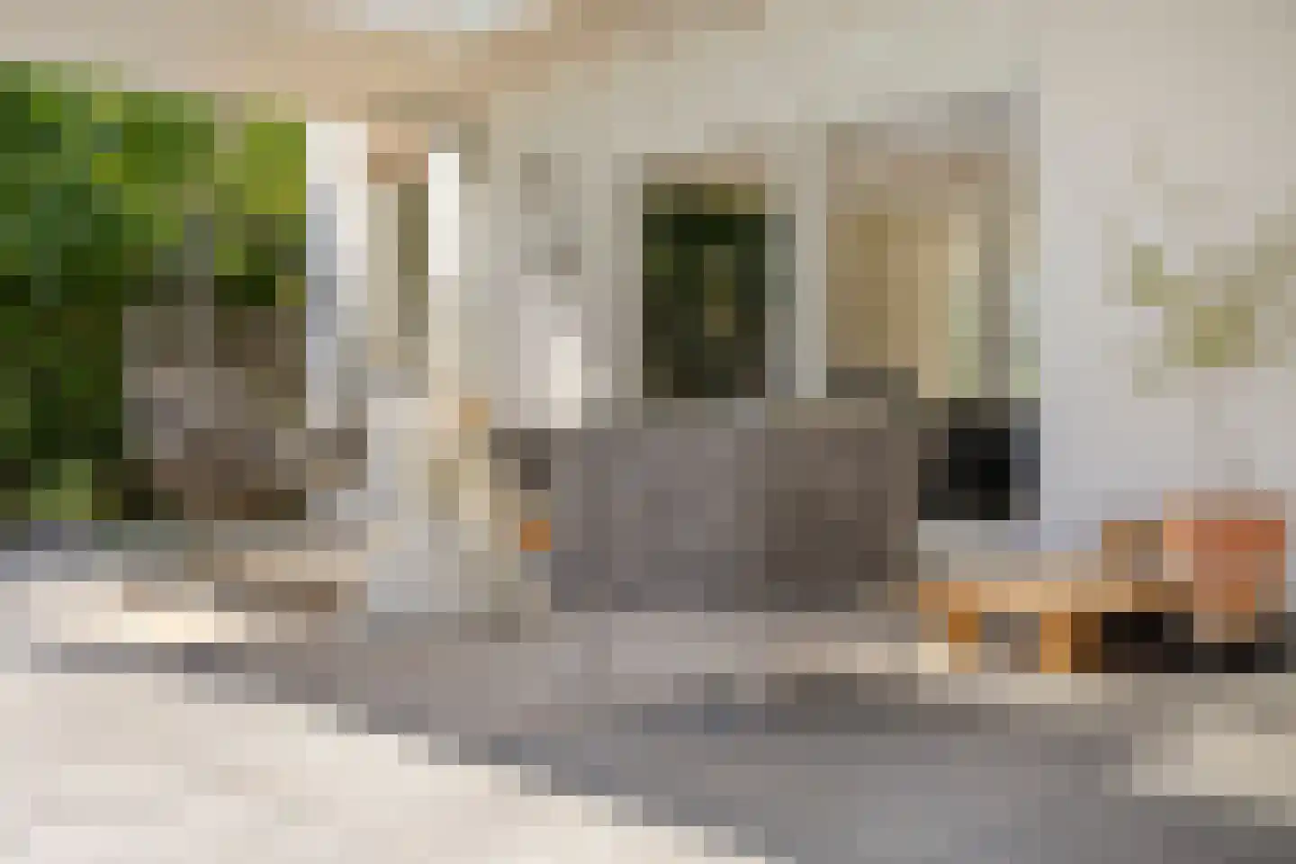 Zeedistelweg 22 Renesse thumbnail 30