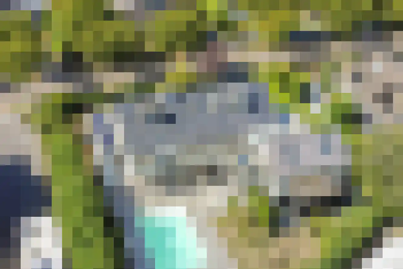 Zeedistelweg 22 Renesse thumbnail 34
