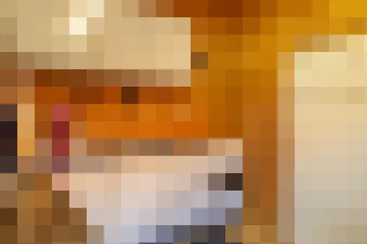 Zeedorp 10 a Ossenisse thumbnail 10