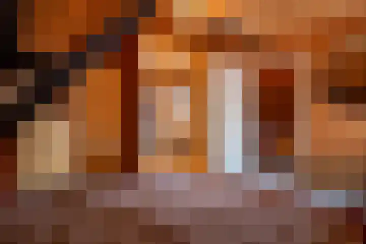 Zeedorp 10 a Ossenisse thumbnail 14