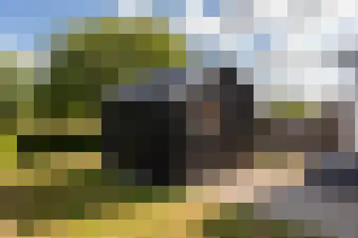 Zeedorp 10 a Ossenisse thumbnail 20