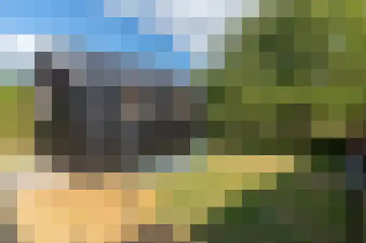 Zeedorp 10 a Ossenisse thumbnail 21