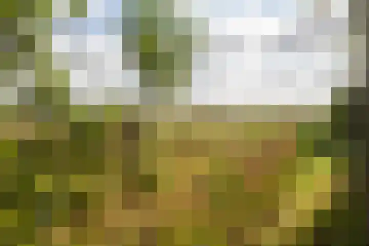 Zeedorp 10 a Ossenisse thumbnail 22
