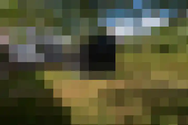 Zeedorp 10 a Ossenisse thumbnail 23