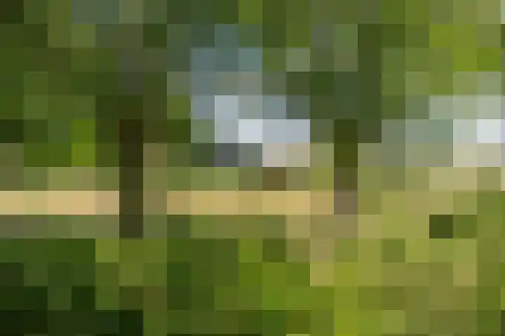 Zeedorp 10 a Ossenisse thumbnail 24