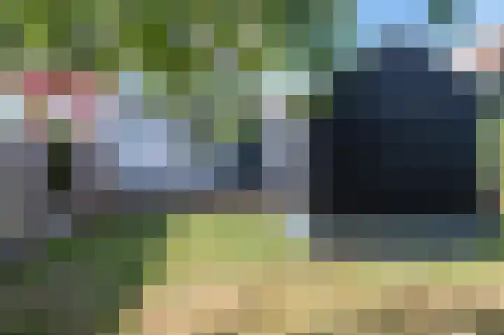 Zeedorp 10 a Ossenisse thumbnail 25