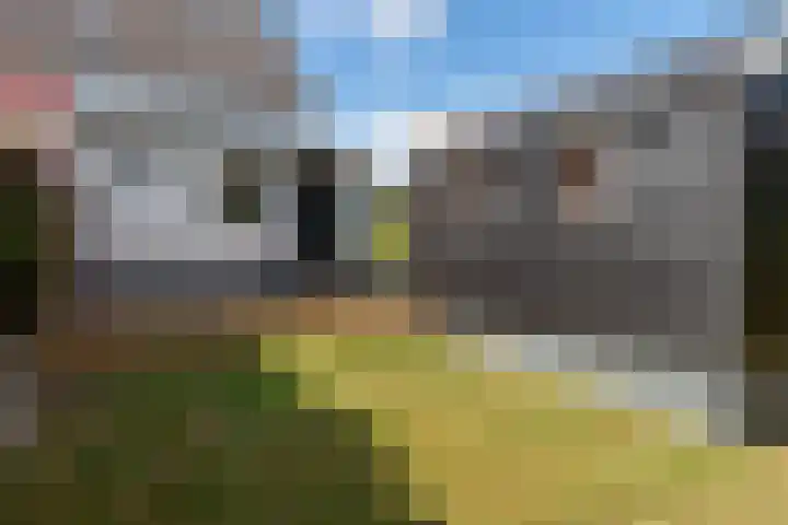 Zeedorp 10 a Ossenisse thumbnail 26