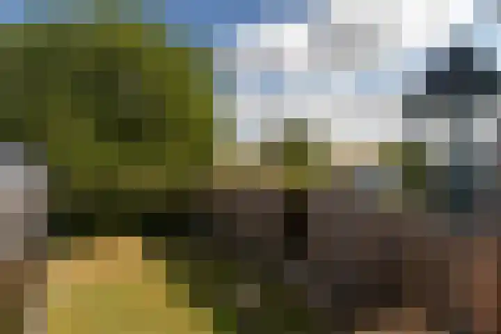 Zeedorp 10 a Ossenisse thumbnail 27