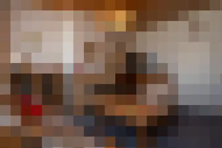 Zeedorp 10 a Ossenisse thumbnail 6